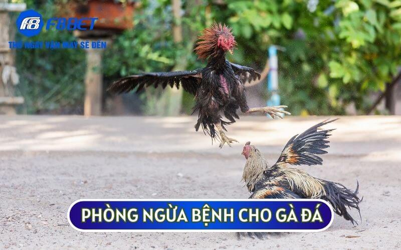 phong ngua benh cho ga da 1