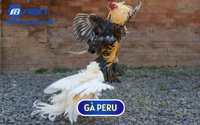 ga peru